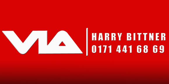 Verkehrsinstitut Altenburg Logo