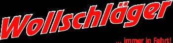 Wollschläger & Partner GmbH Logo