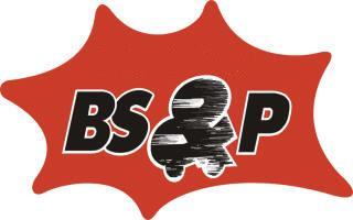 BS&P Verkehrsfachschule Westfalen GmbH Logo